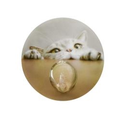 1656331297_kremestraki-mpaniou-Kleine-Wolke-Cat-148