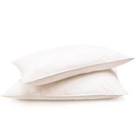 1701699872_maksilari-ypnoy-Kentia-Sueno-Soft