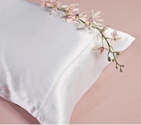 1721639205_beauty-silk-00-Kentia-maksilarothiki