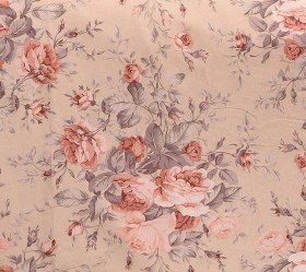 1726155793_sentonia-paplomatothiki-Melinen-Peonia-Rose-01