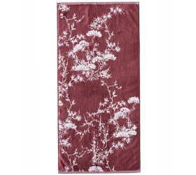 1727095430_petsetes-mpanioy-Kentia-Feng-Shui-Kentia-42-01