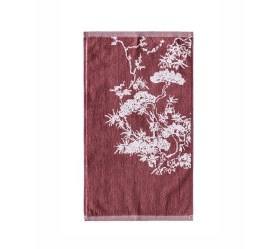 1727095430_petsetes-mpanioy-Kentia-Feng-Shui-Kentia-42-03