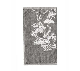 1727095490_petsetes-mpanioy-Kentia-Feng-Shui-Kentia-22-03