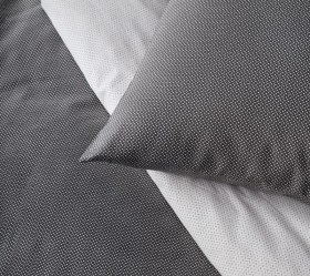 1727183902_Kentia-Pesca-30-sentonia-paplomatothiki-paploma-02