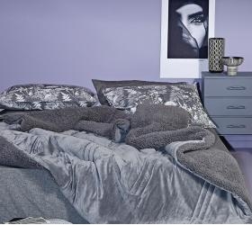 1729756364_koybertopaploma-Kentia-Notturno-22-01