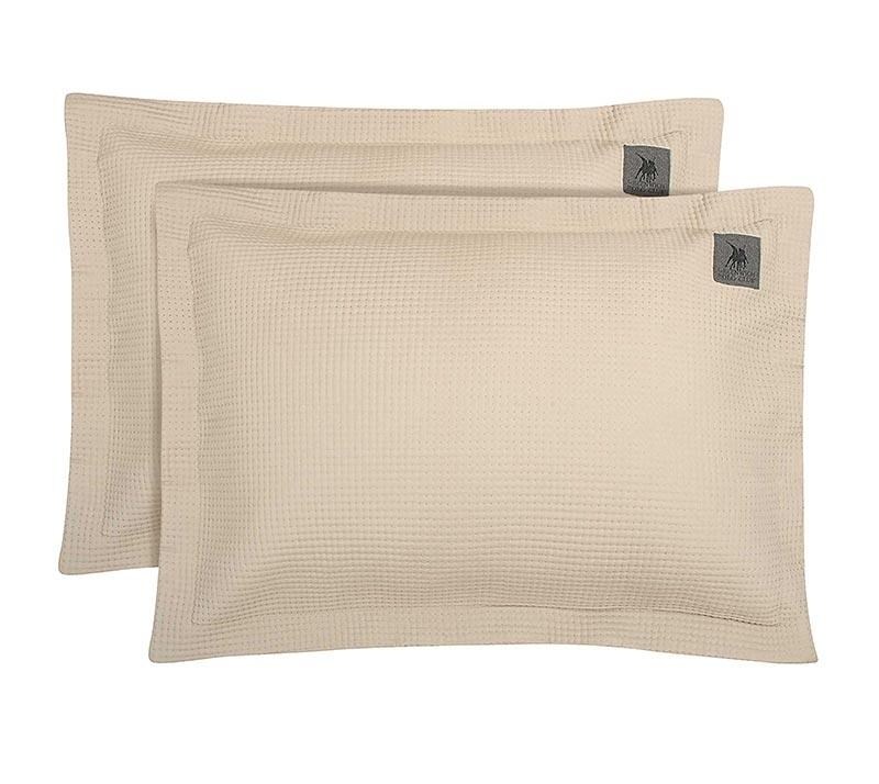 1744544356_Greenwich-Polo-Club-Maksilarothikes-3495