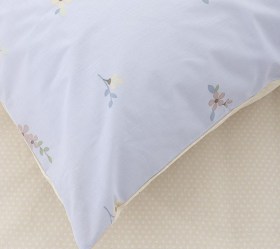 1747141662_Kocoon-set-sentonia-Iris-01
