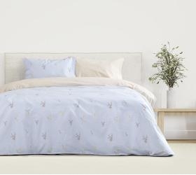 1747141662_Kocoon-set-sentonia-Iris