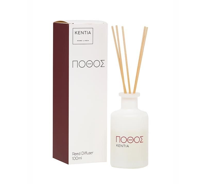1750354733_aroma-xorou-Kentia-Pothos