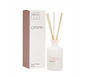 1750356169_aroma-xorou-Kentia-Orama
