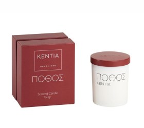 1750441670_aromatiko-keri-Kentia-Pothos-01