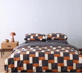 1757930406_sentonia-paplomatothiki-Kentia-cubi-24