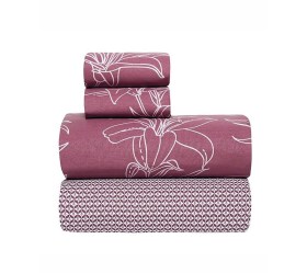 1757958775_sentonia-paplomatothiki-Kentia-Silia-05-01