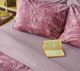 1757958775_sentonia-paplomatothiki-Kentia-Silia-05-02