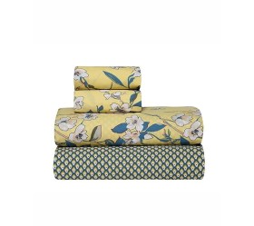 1757960834_sentonia-paplomatothiki-Kentia-tesoro-28-01