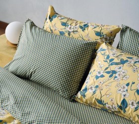 1757960834_sentonia-paplomatothiki-Kentia-tesoro-28-02