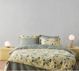 1757960834_sentonia-paplomatothiki-Kentia-tesoro-28