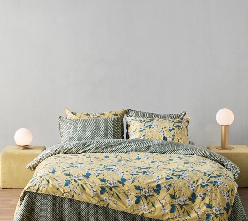 1757960834_sentonia-paplomatothiki-Kentia-tesoro-28