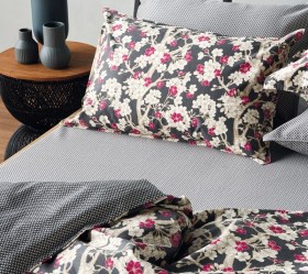 1758018557_sentonia-paplomatothiki-Kentia-umeko-02