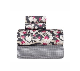 1758018678_sentonia-paplomatothiki-Kentia-umeko-01