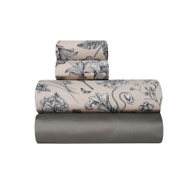 1758028828_sentonia-paplomatothiki-Kentia-alida-15-01