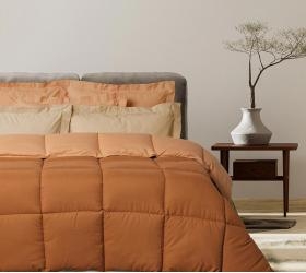 1758207177_paploma-Das-home-9694
