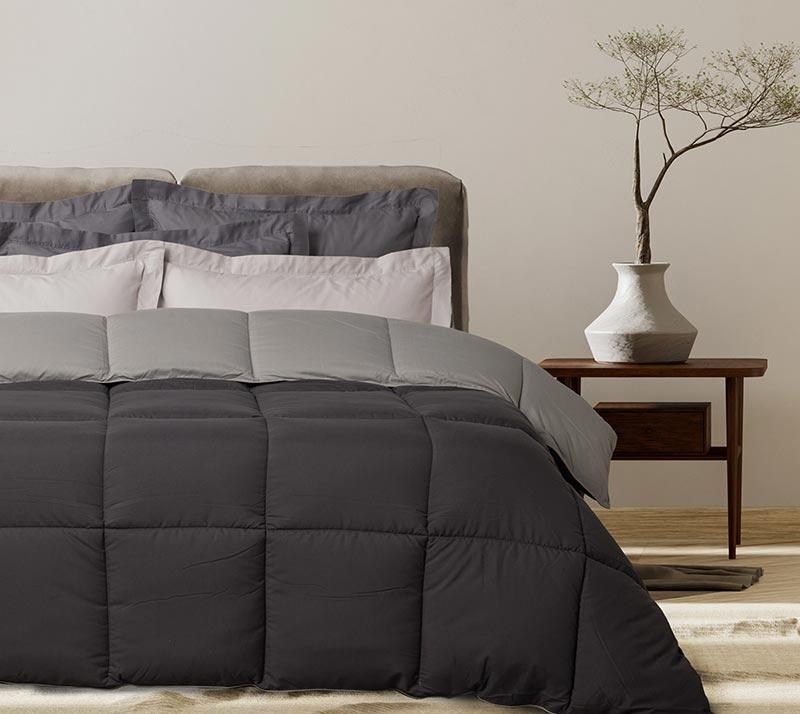 1758207303_paploma-Das-home-9693