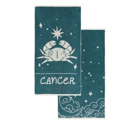 1758548967_set-petsetes-prosopou-Kentia-cancer-01