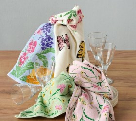 1758618386_petseta-koyzinas-Kentia-Teleria-01