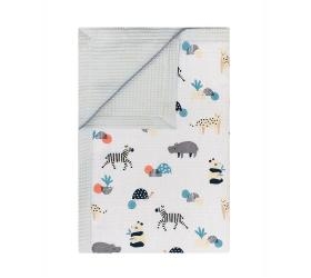 1758899764_koyberta-Kentia-yn-25-Animals-A