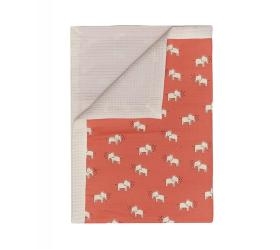 1758899828_koyberta-Kentia-yn-25-Elephants