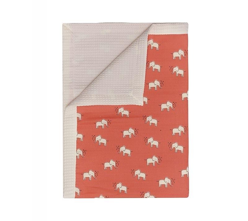 1758899828_koyberta-Kentia-yn-25-Elephants