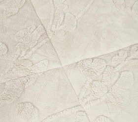 1759324302_koybertopaploma-Nima-Home-Elara-Light-Beige-01