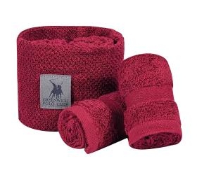 1762175776_set-petsetes-Geenwich-Polo-Club-4109