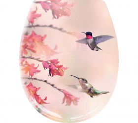 kapaki-lekanis-Kleine-Wolke-Kolibri_5fba33b91a6fc