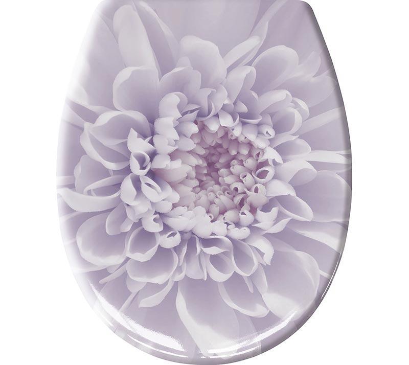 1705686532_kapaki-lekanis-Kleine-Wolke-Dahlia.jpg